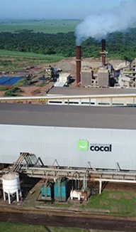 fabrica cocal